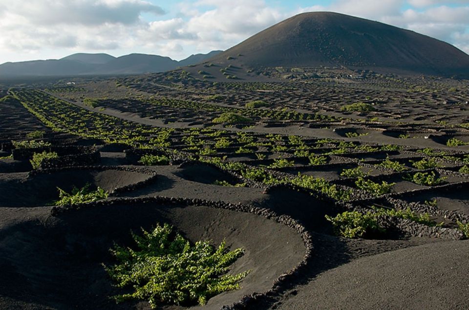 Arrecife/Playa Blanca: Timanfaya National Park Area Day Tour - Itinerary Highlights