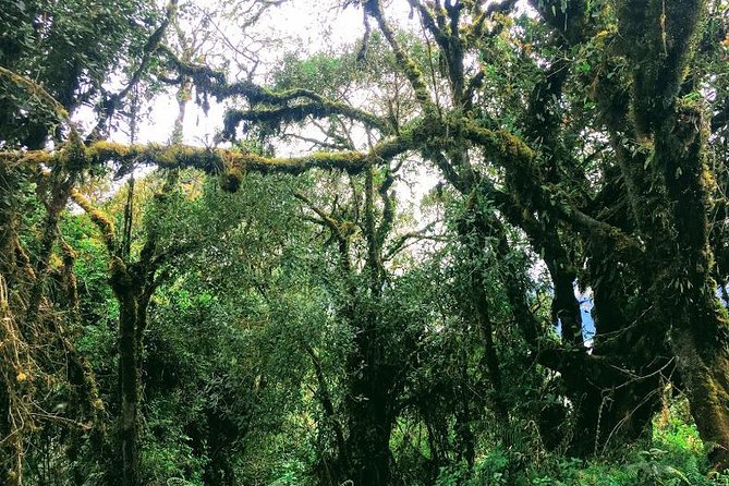 Ascent to Tungurahua Volcano - Meeting and Pickup