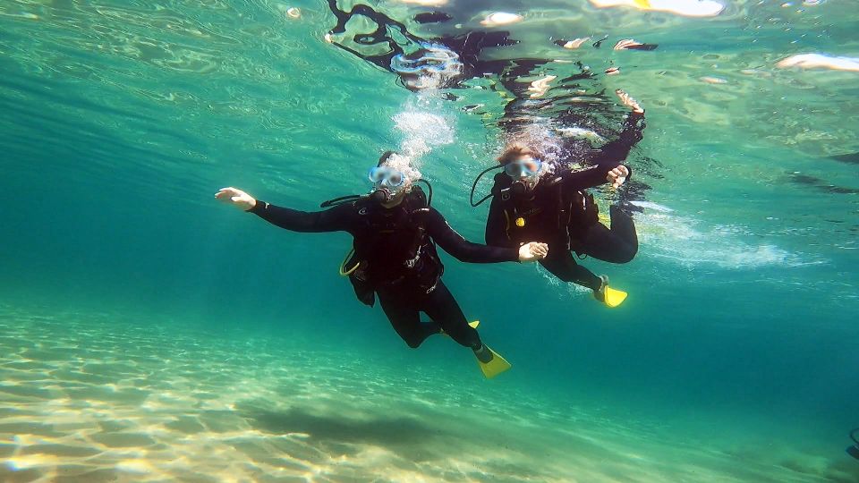 Athens East Coast: Discover Scuba Diving in Nea Makri - Scuba Diving Experience