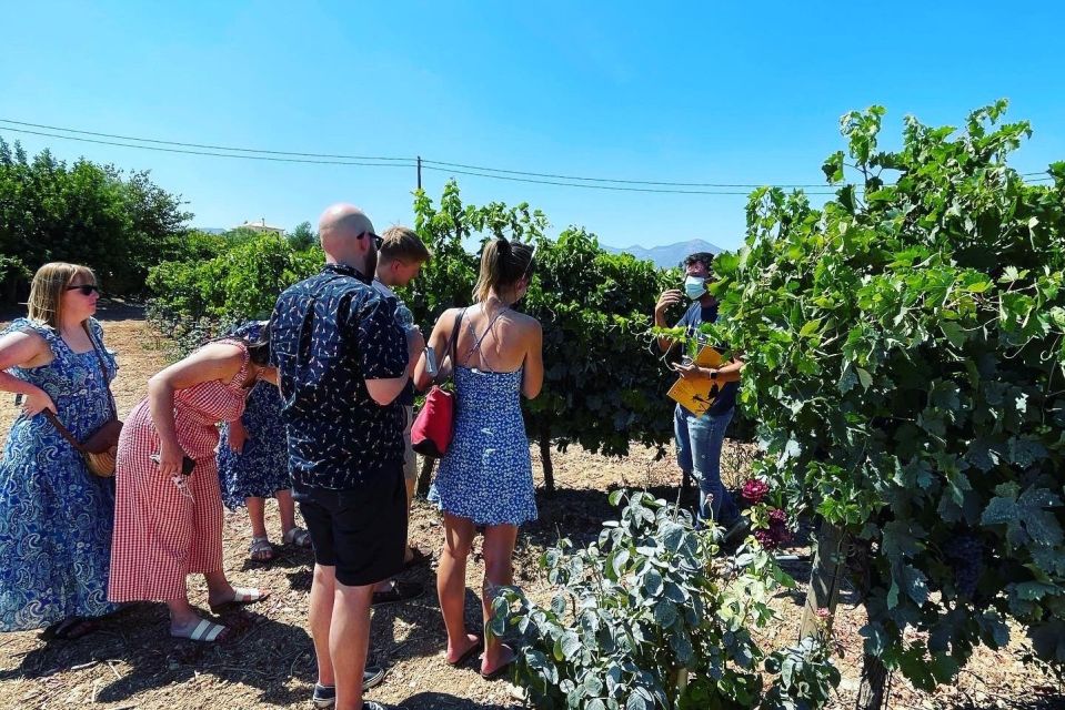 Athens: Wine Tour - Highlights of the Experience