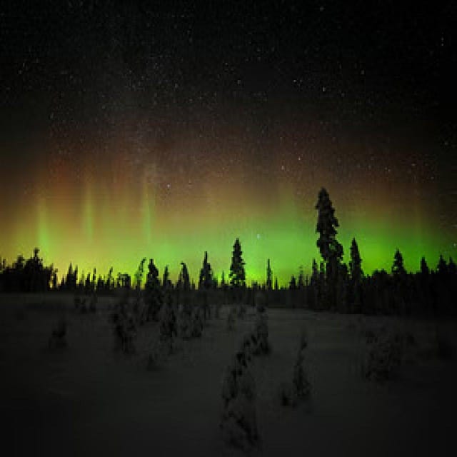 Aurora Trek With Snowshoes - Pricing and Booking Information