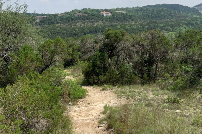 Austin & Houston: Self-Guided Driving Audio Tour - Austins Vibrant Music History
