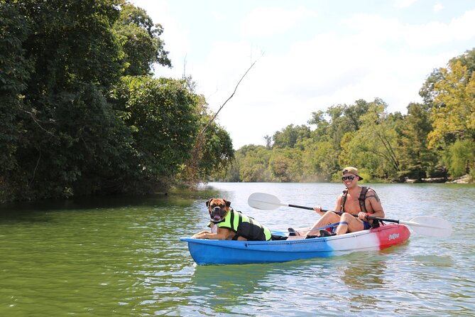 Austin Skyline Kayak Tour - Experience Highlights