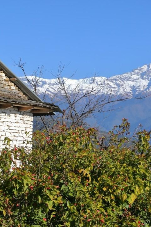 Australian Base Camp Day Hike Pokhara - Pricing Details