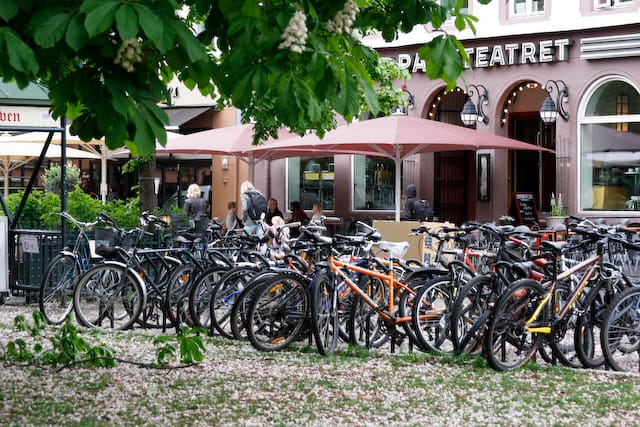 Authentic Oslo Bike Tour - Experience Highlights