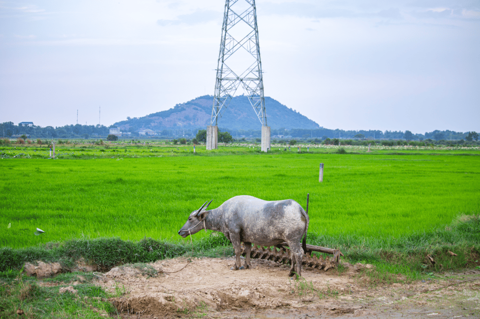 Authentic Siem Reap: Tuk Tuk Countryside and Sunset Tour - Itinerary Highlights