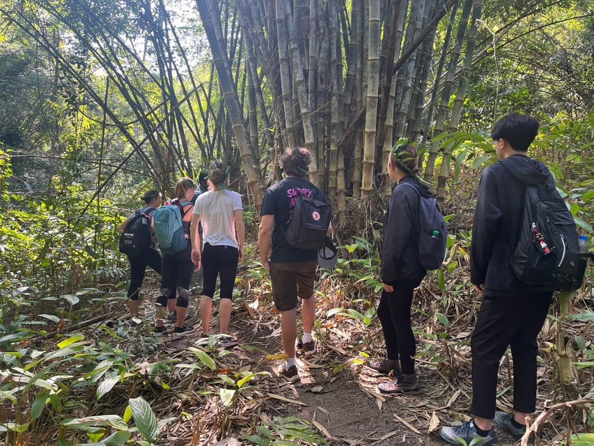 Authentic Trek Only Walk in Chiang Rai Jungle - Experience Highlights