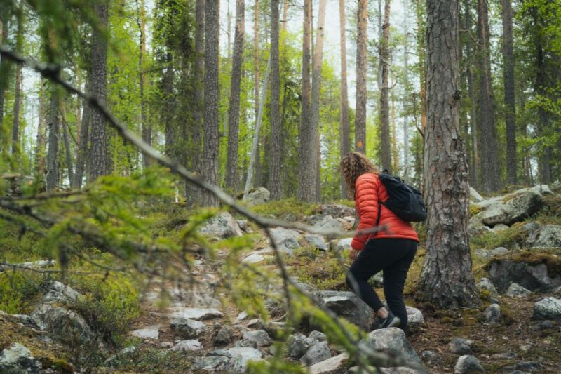Auttiköngäs Hiking Experience - Pricing Details