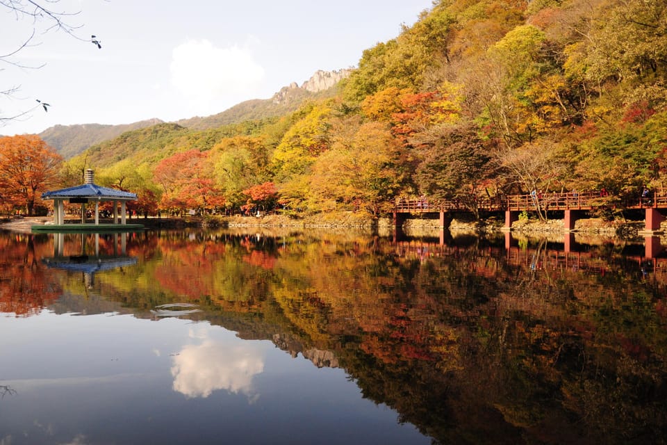 Autumn - Naejangsan National Park Maple Leaves Day Tour - Inclusions