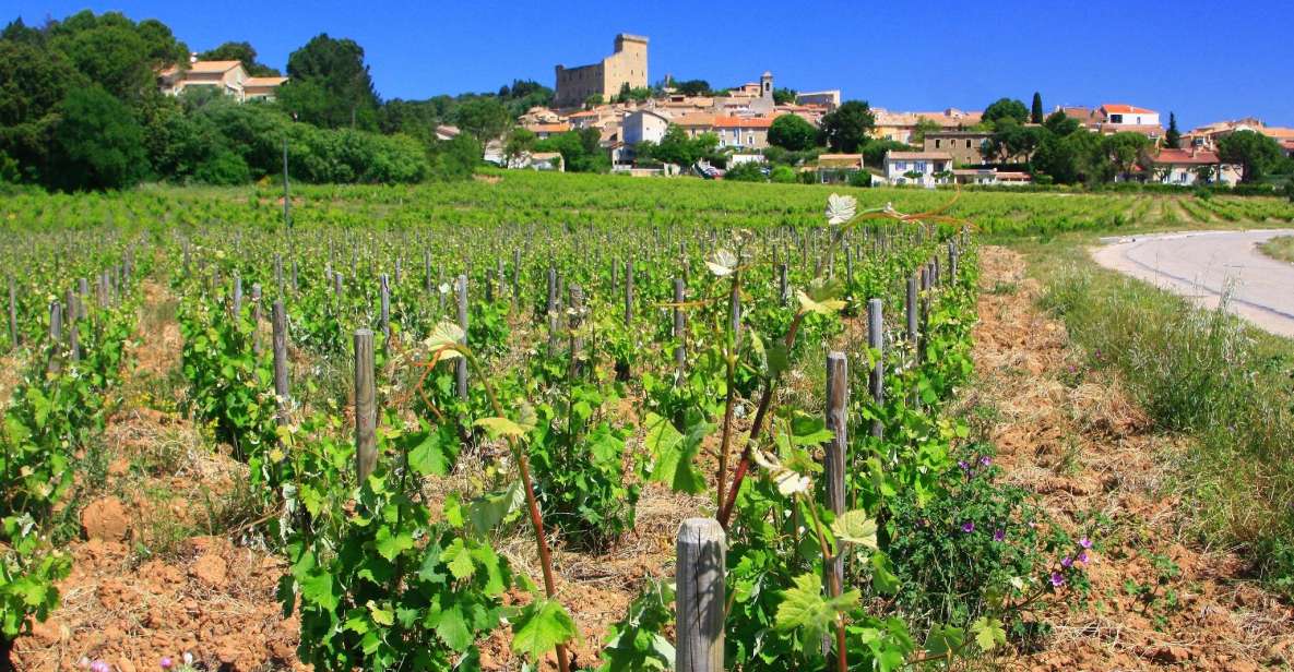 Avignon: Full-Day Wine Tour Around Châteauneuf-Du-Pape - Itinerary Highlights