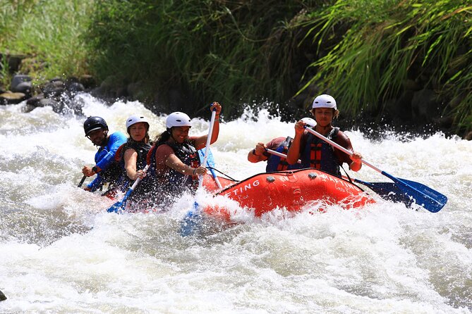 Awesome Class 3 Balsa River Rafting 5-Hour Tour in La Fortuna - Scenic Rainforest and Wildlife Spotting