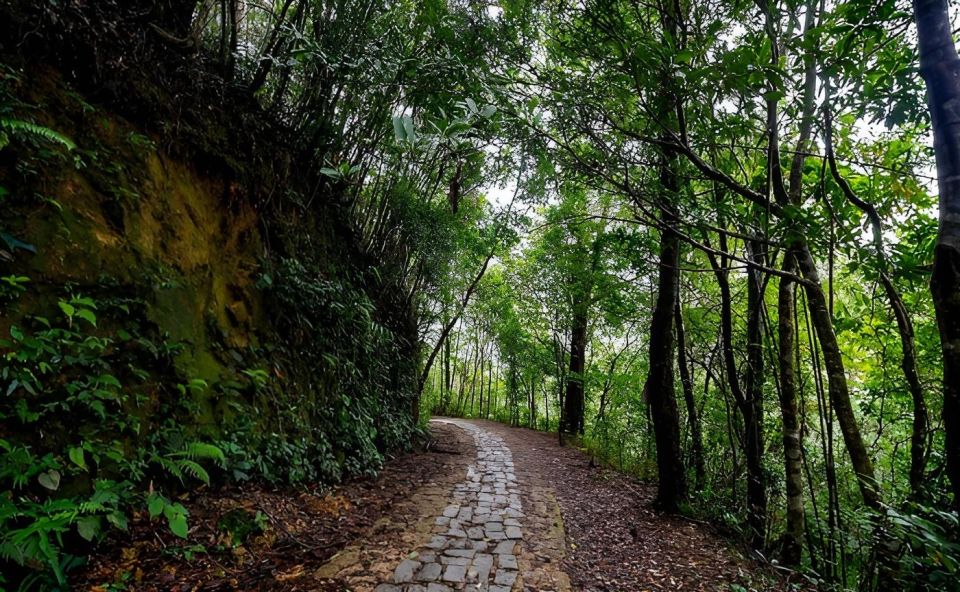 Bach Ma Mountain: Full Day Trekking From Hue (Group Tour) - Daily Itinerary Highlights