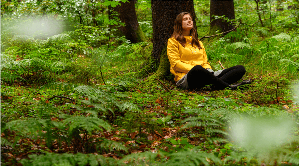 Bad Wörishofen: Shinrin-Yoku – Forest Bathing - Booking Details and Pricing