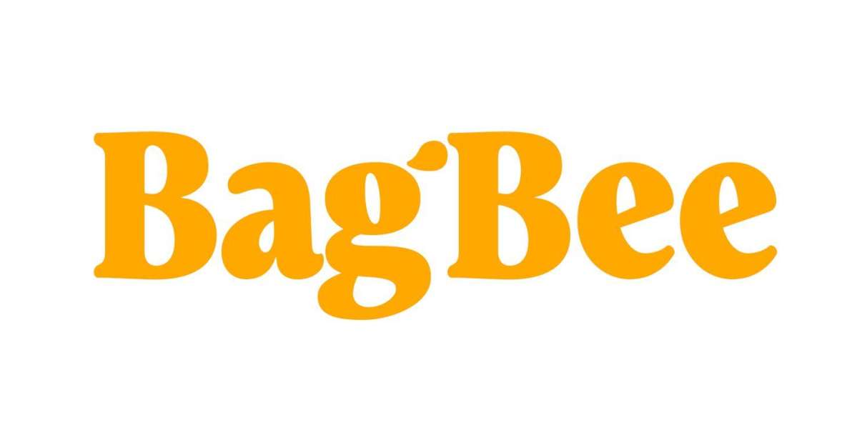 Bagbee Airline Check-In From Hotels & Homes (Morning Pickup) - How to Book Your Pickup