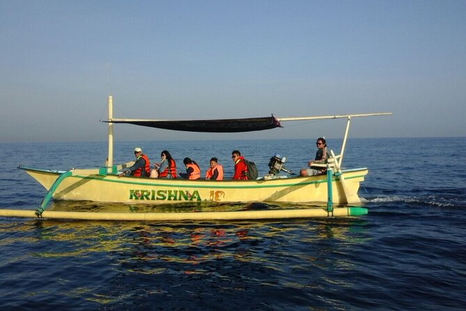 Bali Lovina Dolphin and North Bali Sightseeing - All Inclusive - Dolphin Watching Experience