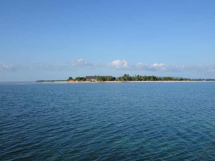 Balicasag Island Private Tour and Dolphin Watching - Activities and Highlights