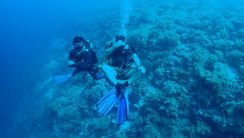 Bantayan Island: Discover Scuba Diving - Pricing and Inclusions