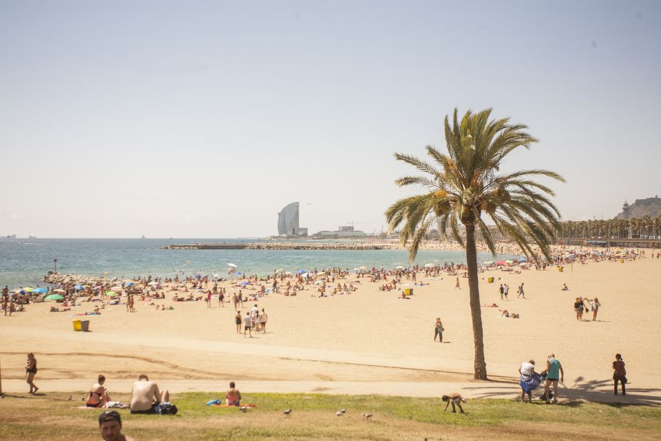 Barcelona: 2-Hour City Sights Guided Segway Tour - Itinerary Highlights