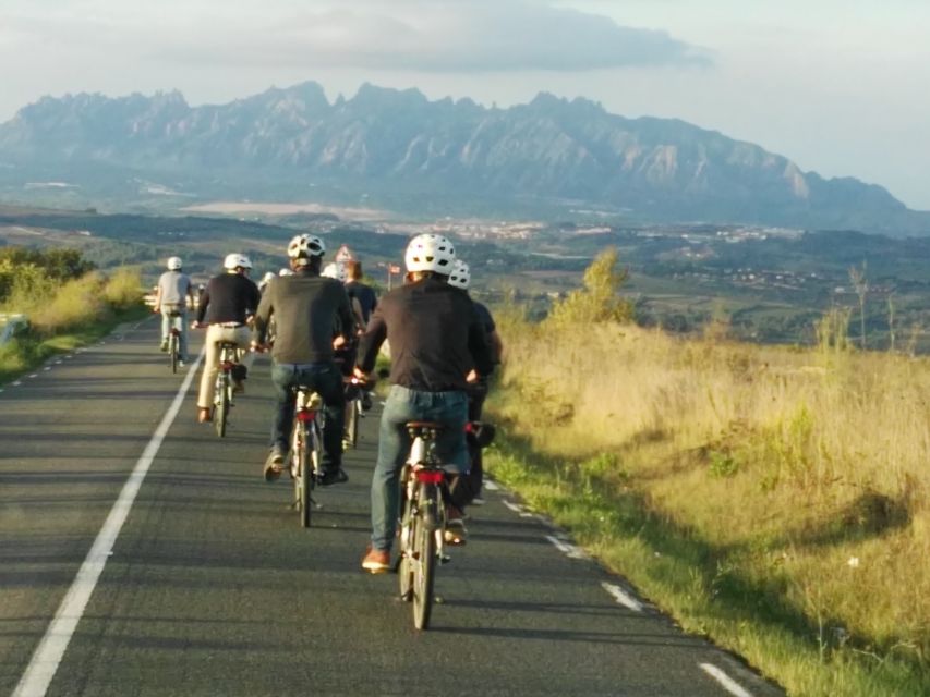 Barcelona: Bike & Wine Guided Tour - Penedès Vineyards - Experience Highlights