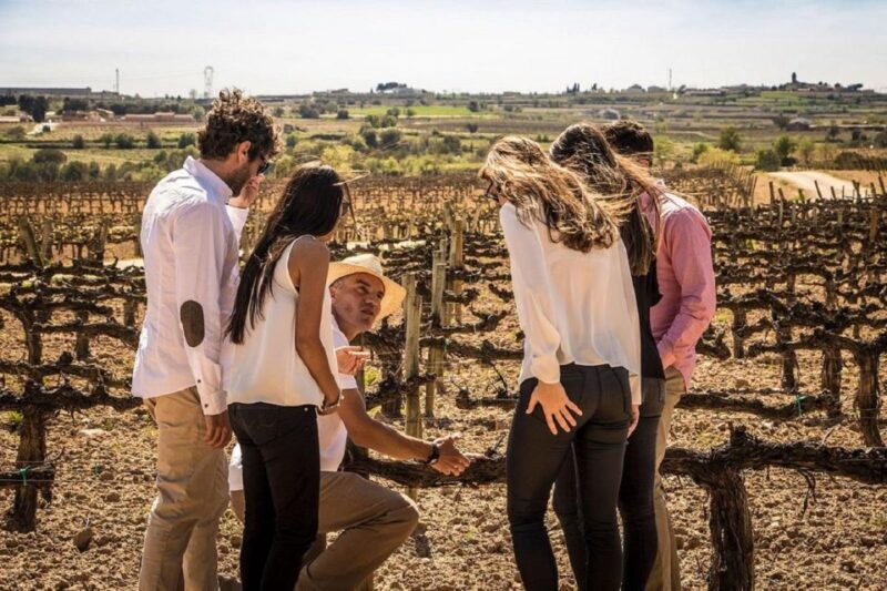 Barcelona: Sailing and Alella Winery Tour With Wine Tasting - Itinerary Details
