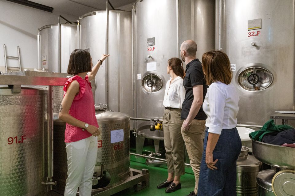 Bardolino: Lake Garda Oil Mill Tour With Olive Oil Tasting - Experience Highlights