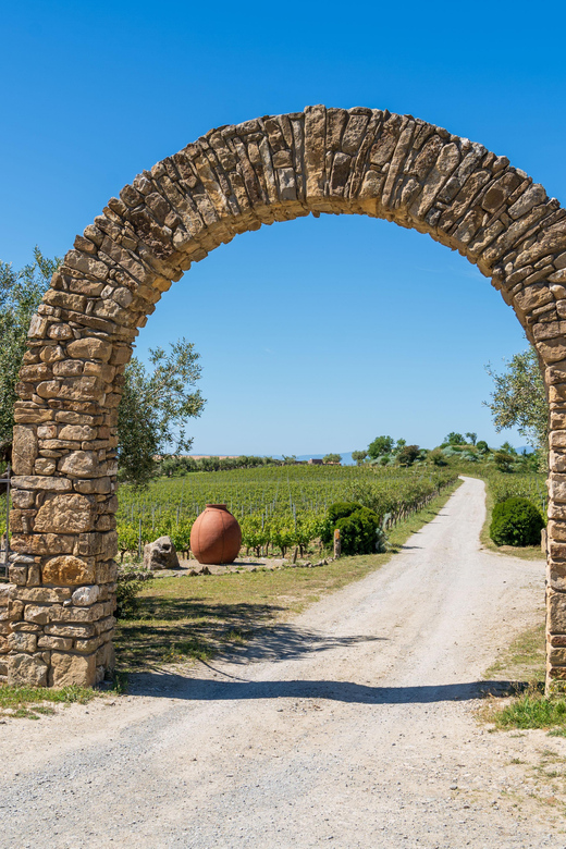 Barumini Su Nuraxi and Wine Tasting - Historical Significance of Su Nuraxi