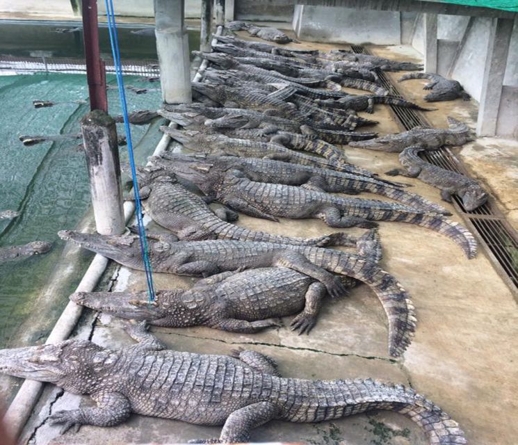 Battambang: Bamboo Train and Bat Cave Tour With Transfer - Historical Significance of Battambang