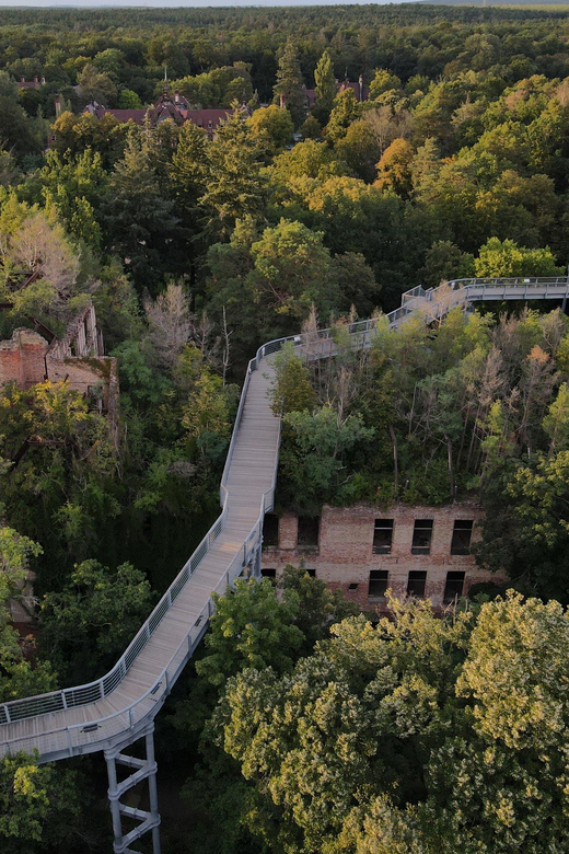 Baum&Zeit Beelitz-Heilstätten: Tree Top Walk Entry Ticket - Experience Overview