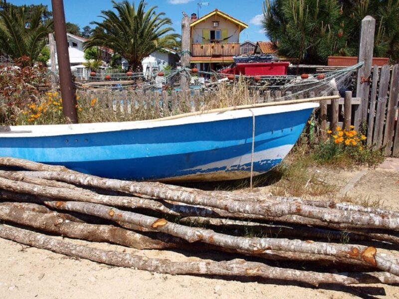 Bay of Arcachon: Guided Food Tour - Tour Experience