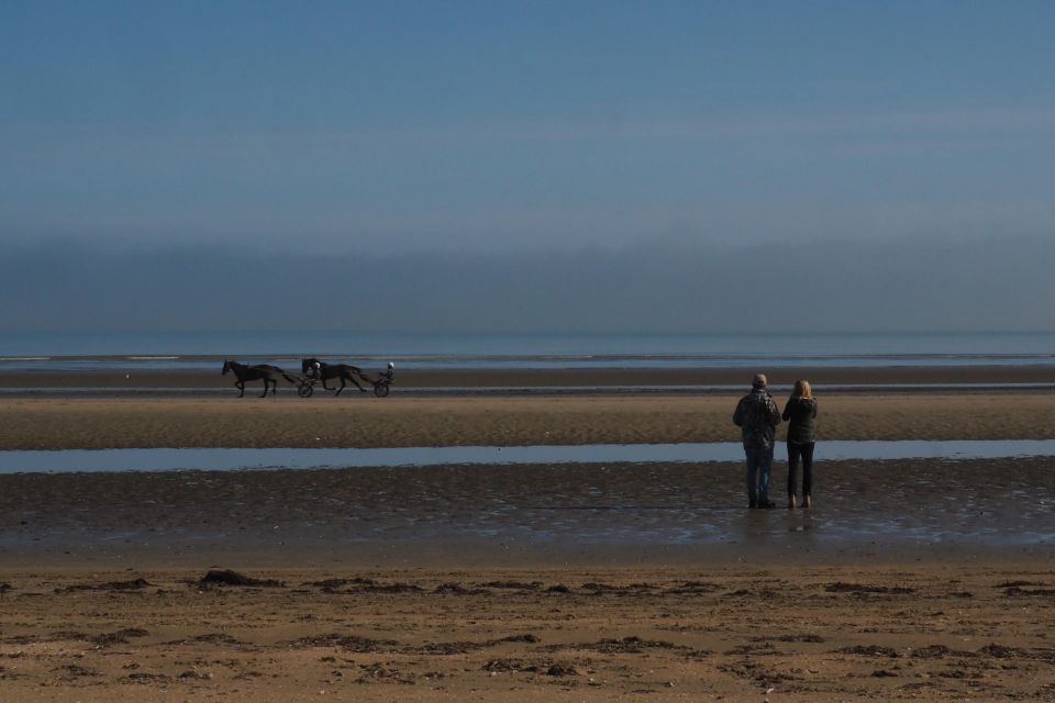 Bayeux: Full-Day Excursion D-Day Landing Beaches - Pricing and Group Details