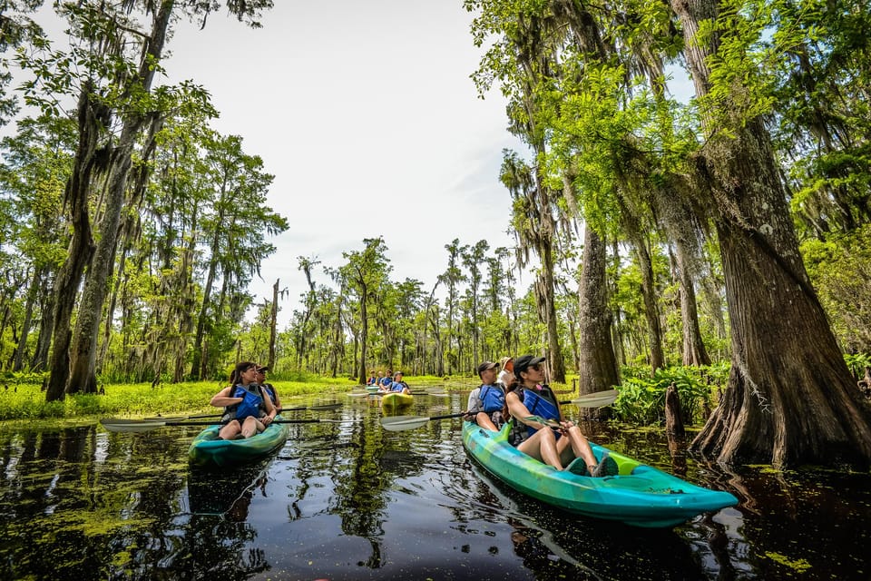 Bayous And Byways, Oak Alley Plantation And Kayak Swamp Tour - Itinerary Details