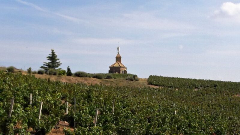 Beaujolais: Half-Day Wine Tour - Experience Highlights