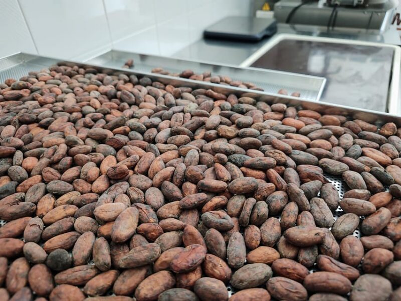 Become a Chocolatier for a Day! - Workshop Details