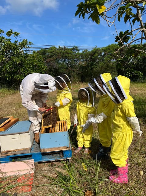 Bee Farm Tour & Honey Tasting - Experience Details