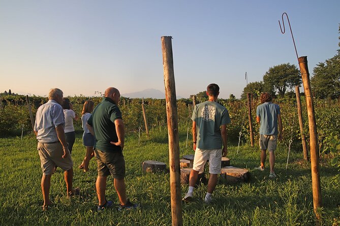 Beekeeping Farm Tour and Tasting Experience in Lazise - Diverse Tasting Menu Offerings