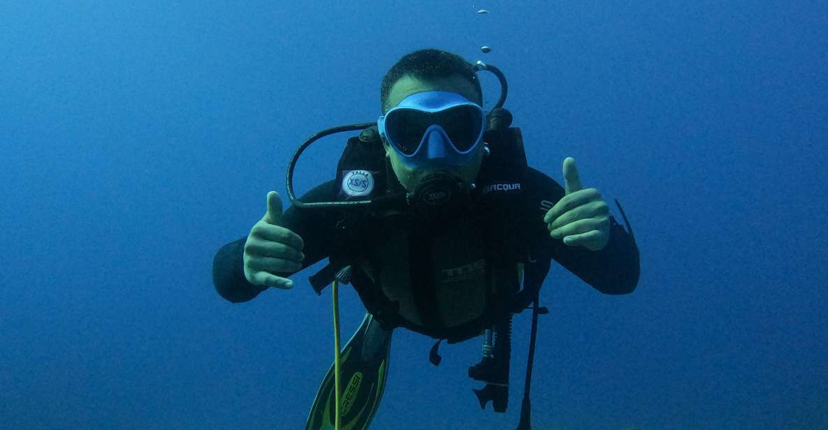 Beginner Scuba Dive With Scubapoint Tenerife in Turtle Area - Booking and Payment