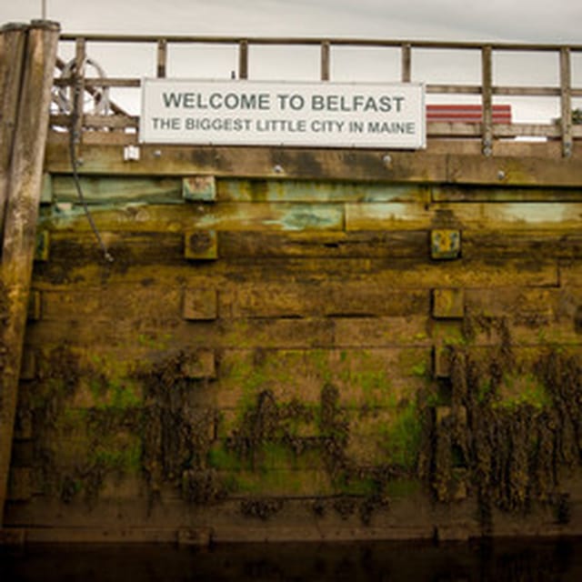 Belfast: VIP Private Bay Cruise on a Lobster Boat - Experience Highlights