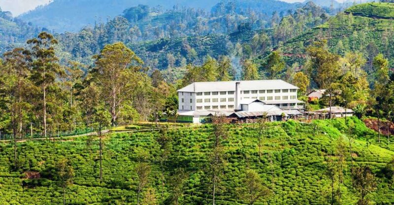 Bentota/Kalutara/Hikkaduwa: Day Trip to Ella Highlands - Itinerary Highlights