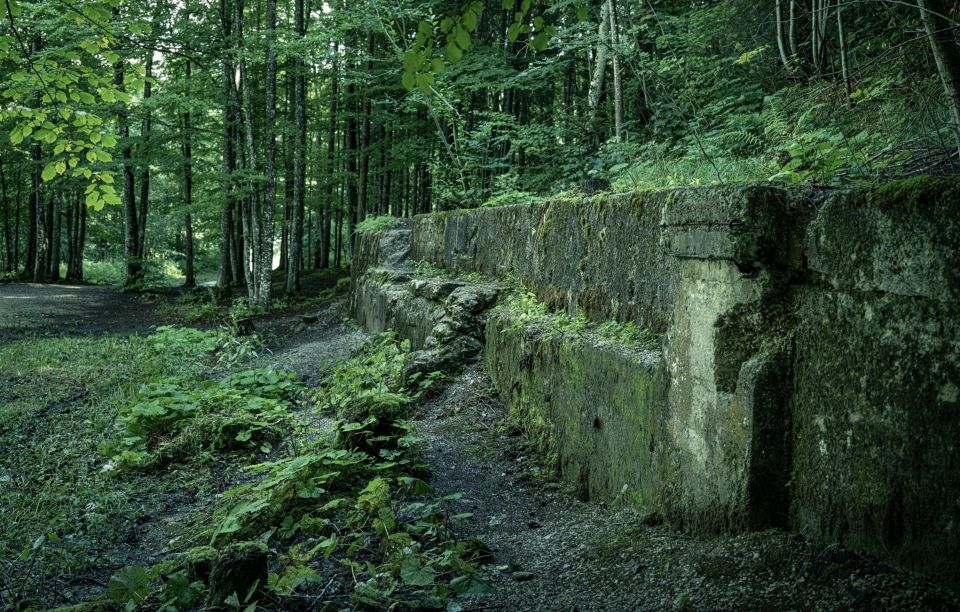 Berchtesgaden: Private Eagles Nest & Obersalzberg WWII Tour - Historical Significance