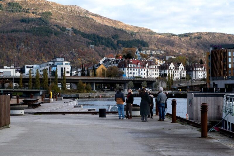 Bergen: Guided Minibus Tour With Photo Stops & Bryggen Tour - Highlights of the Experience