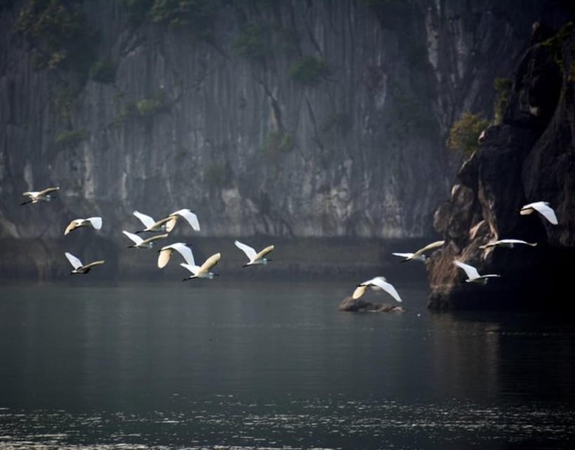 Best Love - Full Day Boat Tour to Lan Ha Bay and Ha Long Bay - Itinerary and Activities