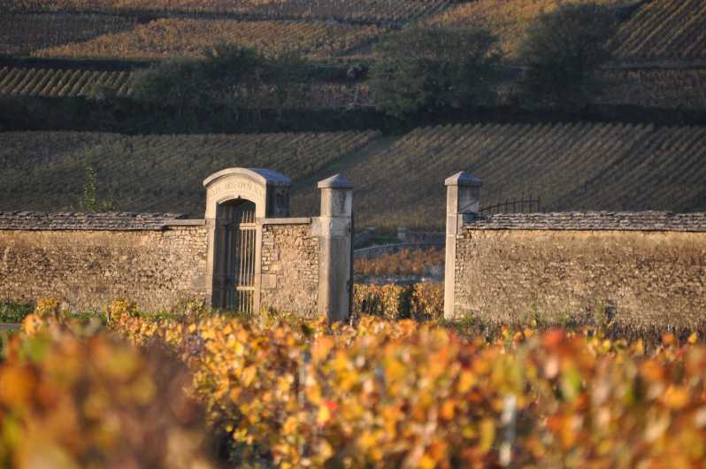 Best of Burgundy Private Tasting Tour - Premier & Grand Crus - Experience Highlights