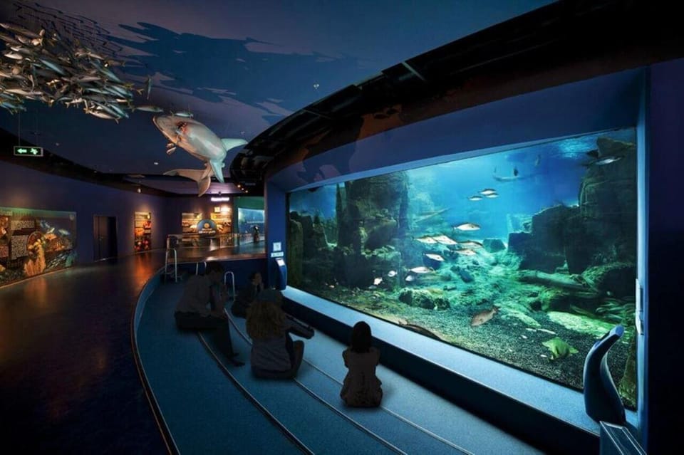 Best of Istanbul Aquarium Tour With Ticket & Hotel Transfer - Experience Highlights