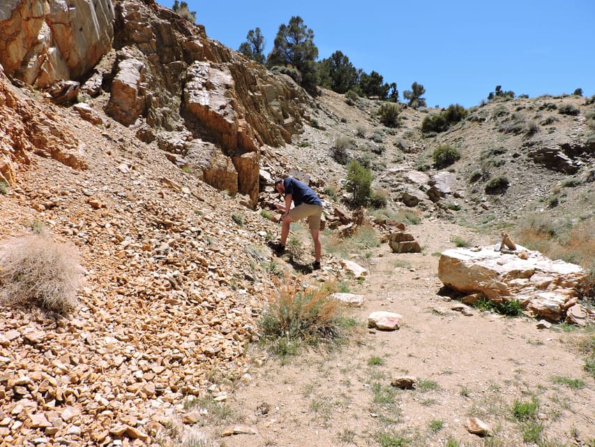 Big Bear Lake: From Seafloor to Mountain, the Story of Gold - Self-Guided Tour Details