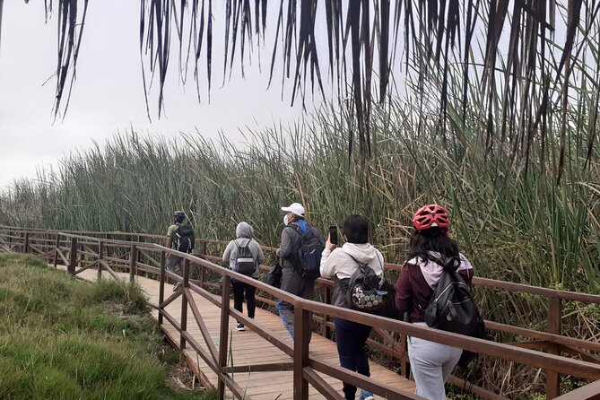Bike Tour Discovering the Nature and History of Lima - Visiting Chorrillos and the Fishing Pier