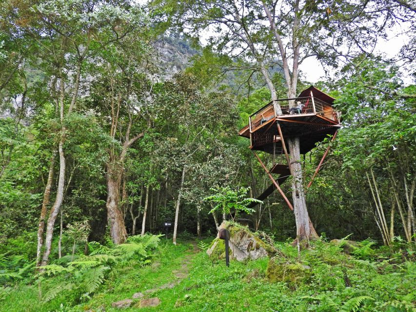 Birdwatching Day Tour at Chicaque Natural Park - Tour Details and Itinerary