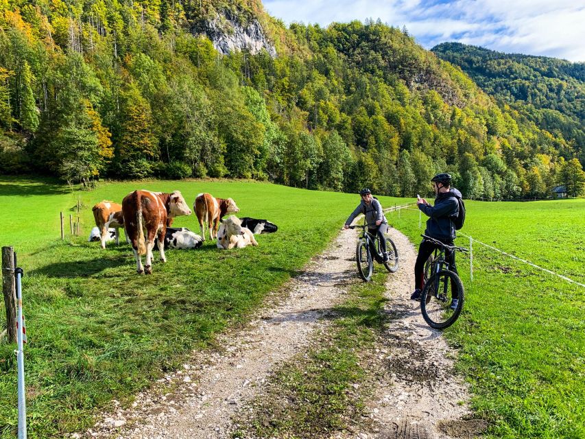 Bled: EBike Tour Lake Bled & Triglav National Park Private - Itinerary Highlights