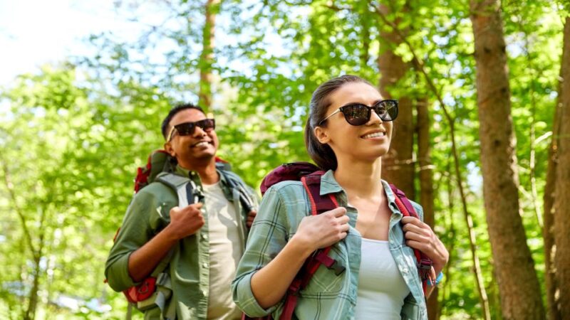 Blue Ridge Parkway (South): Driving Tour With Audio Guide - Park Information and Accessibility