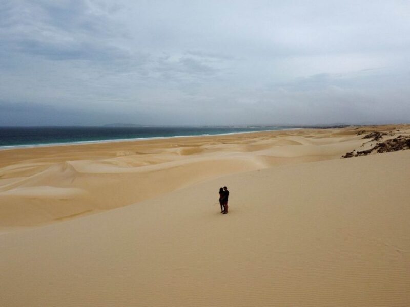 Boa Vista: Full-Day Island Tour - Itinerary and Highlights