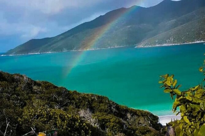 Boat Tour in Arraial Do Cabo - Group Tour Experience